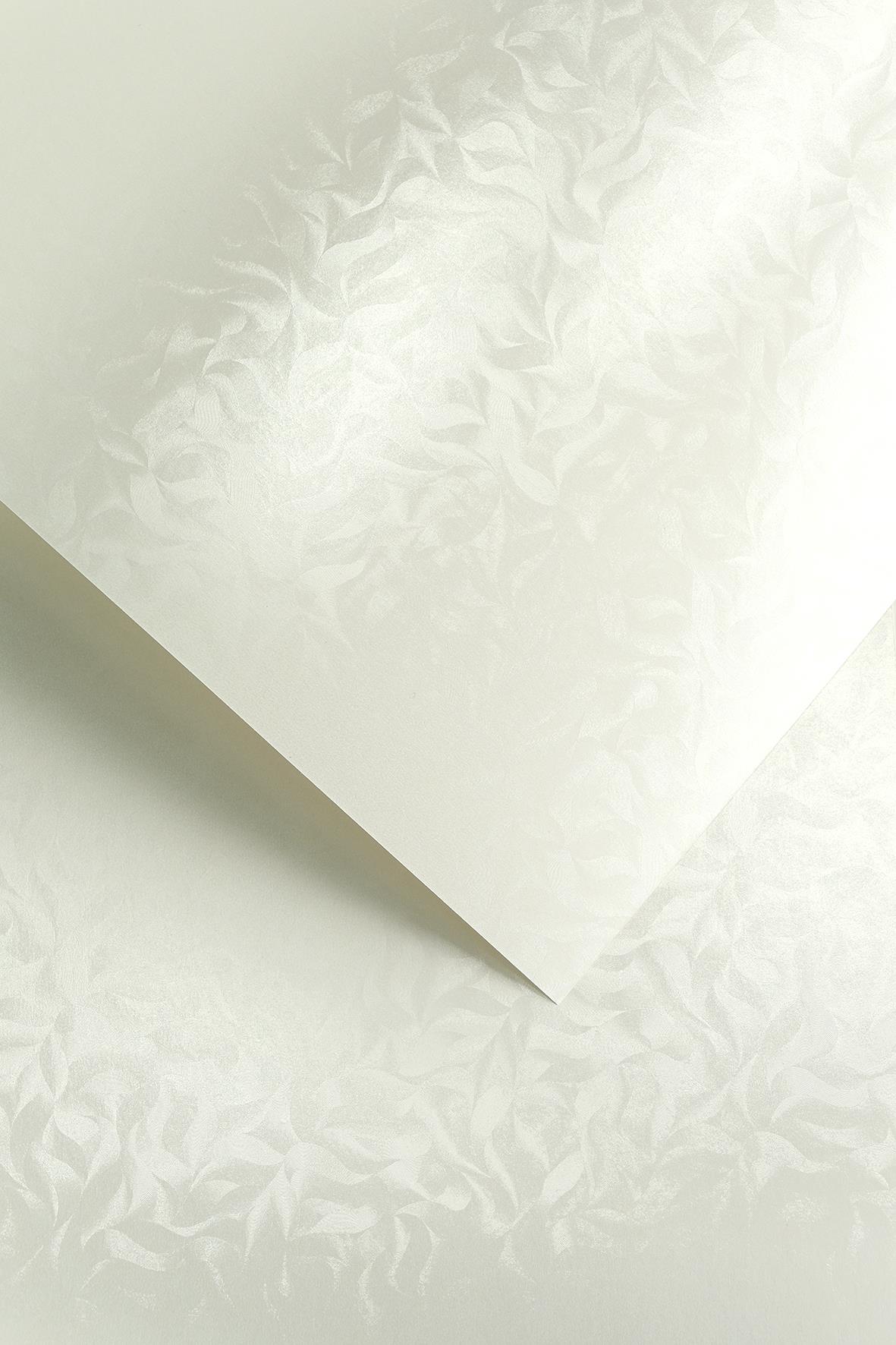 Galeria Papieru ozdobný papír Olympia bílá 220g, 20ks